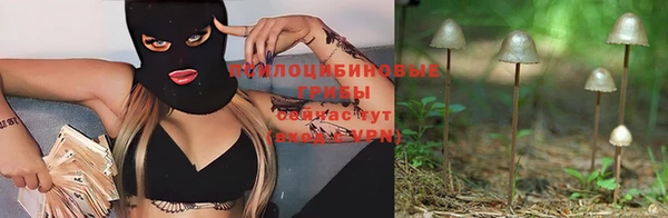 spice Тихвин