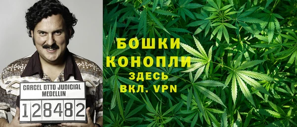 spice Тихвин