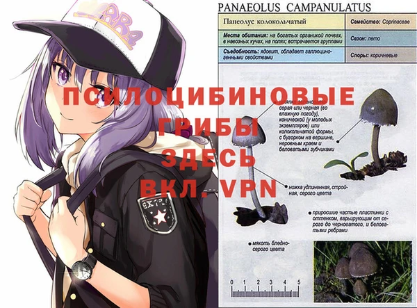 ECSTASY Тобольск