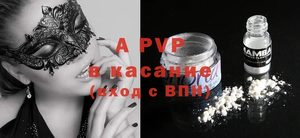 бошки Тайга