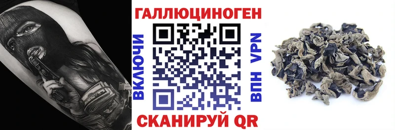 где купить наркотик  Борзя  Галлюциногенные грибы MAGIC MUSHROOMS 