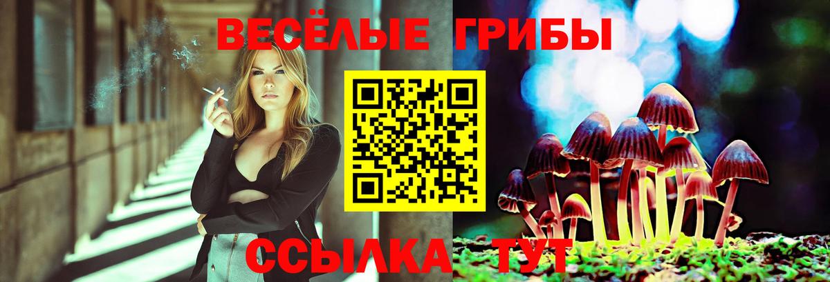 Псилоцибиновые грибы Magic Shrooms  где продают наркотики  Борзя 