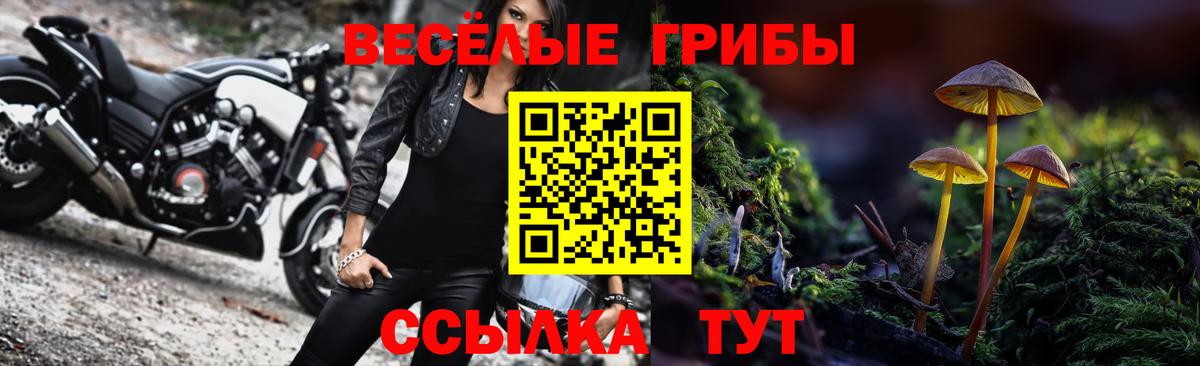 Борзя  Галлюциногенные грибы Psilocybe  Вход с VPN 